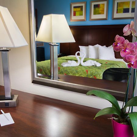 Готель Ramada By Wyndham Flamingo Water Park Кіссіммі Екстер'єр фото